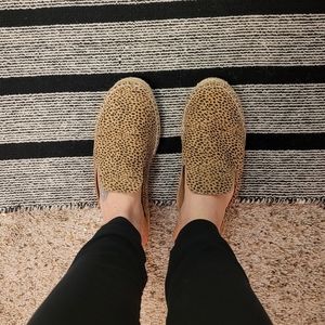 universal thread leopard mules size 8.5